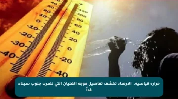 حرارة قياسية.. الأرصاد تكشف تفاصيل موجة الغليان التي تضرب جنوب سيناء غداً